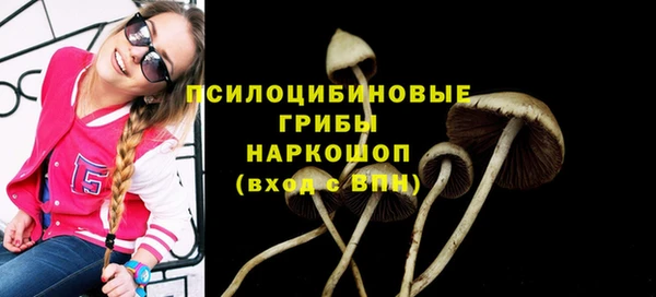 марки lsd Верхний Тагил