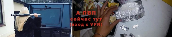 дурь Верея